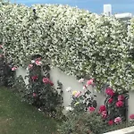 Villa Markos *