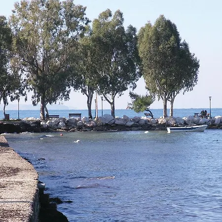 Markos * Ρογίτικα