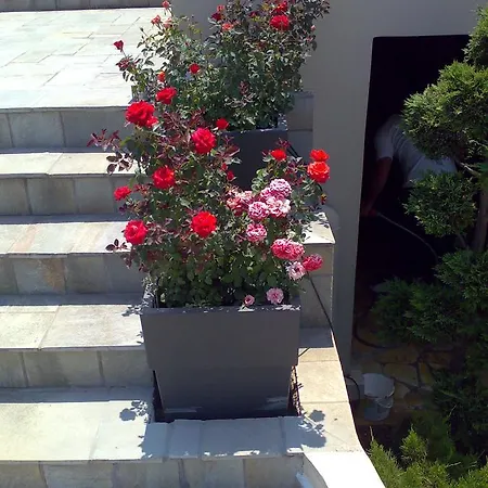 Villa Markos *