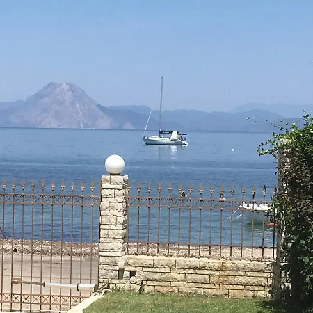 Markos * Ρογίτικα