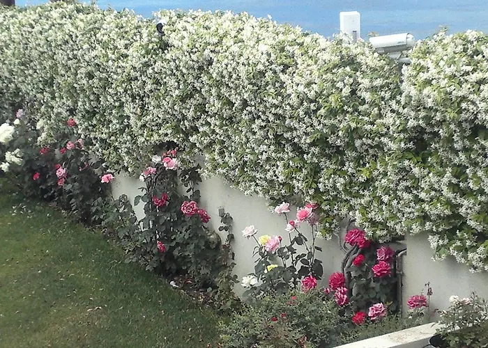 Villa Markos *